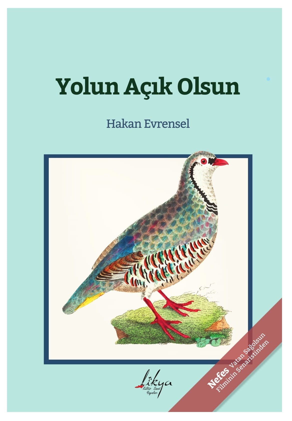 Umschlag von Yolun Açık Olsun: Zeichnung eines bunt gemusterten Rebhuhns in einem dunkelblauen Rahmen auf hellem Türkis.
